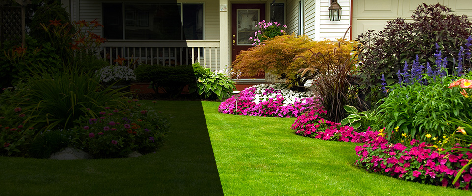 Aldrich Landscapers