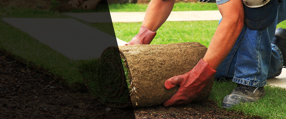 Aldrich Landscapers